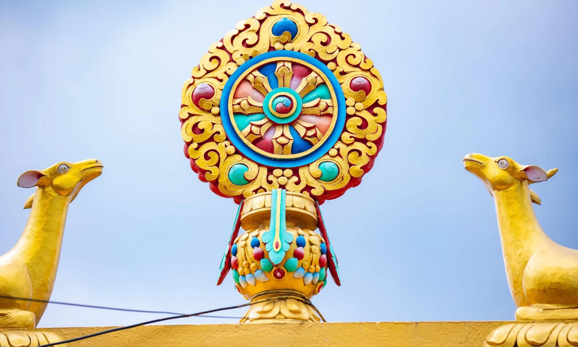 Booking with One Himalaya