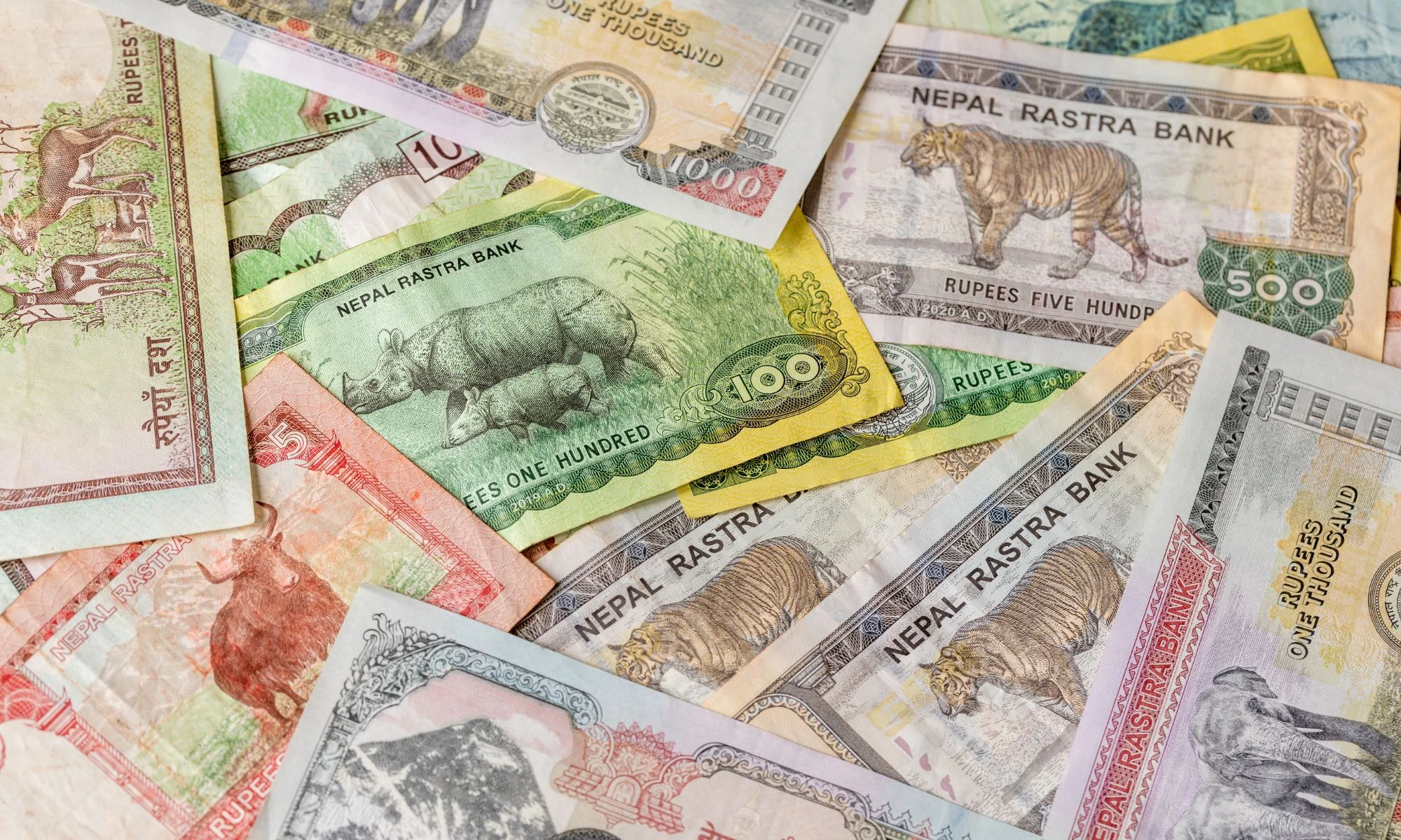 Your financial protection