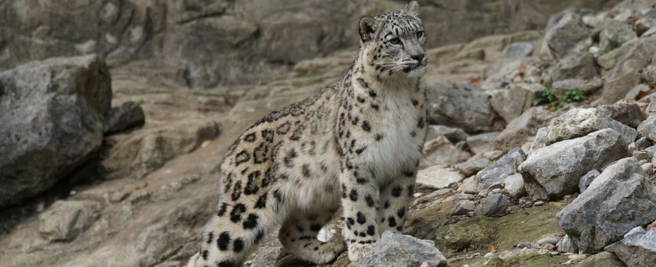 Off the beaten track