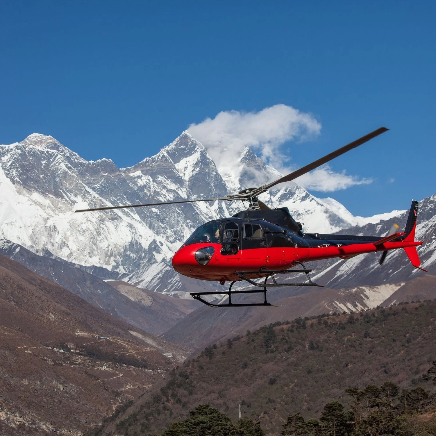 Nepal Explorer - Khopra Ridge trek, Chitwan safari and Everest helicopter tour