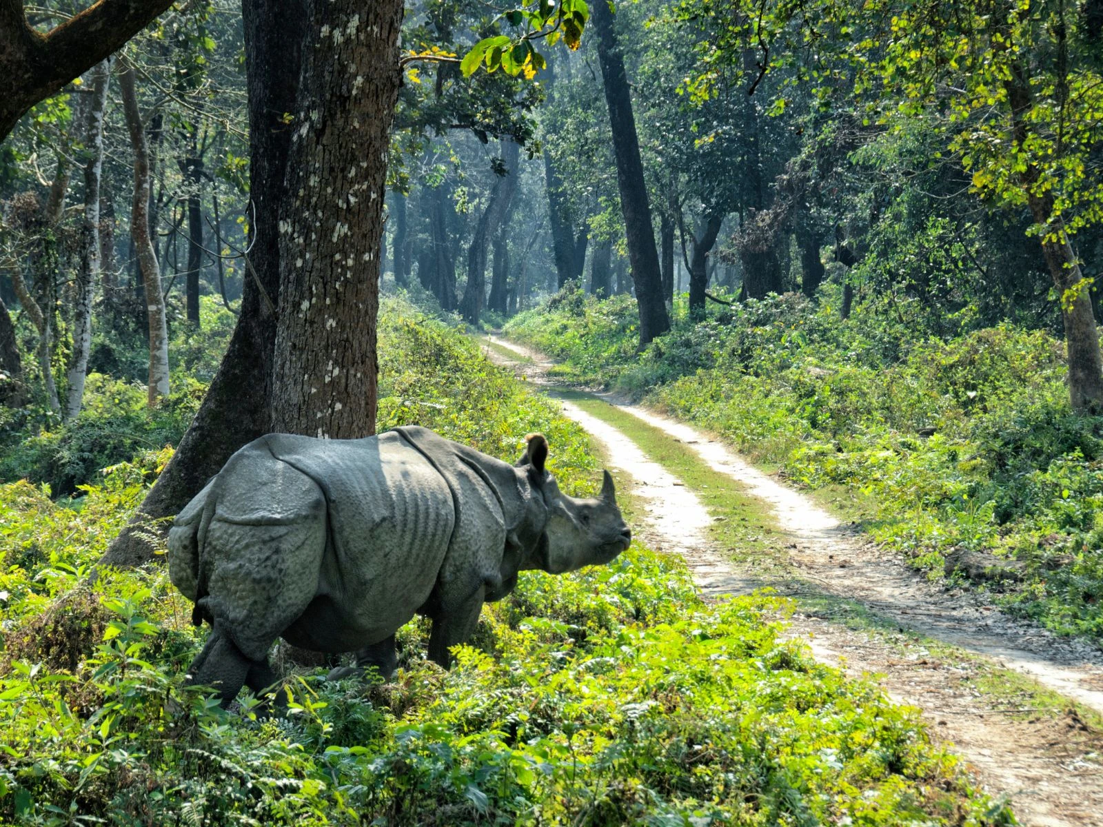 Nepal Wildlife Adventure