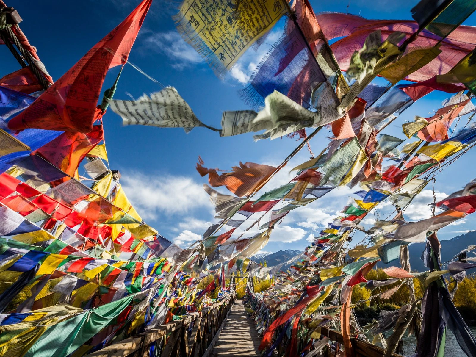 Hidden Treasures of Ladakh